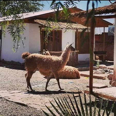 Cabanas Voyage Atacama San Pedro de Atacama Luaran gambar