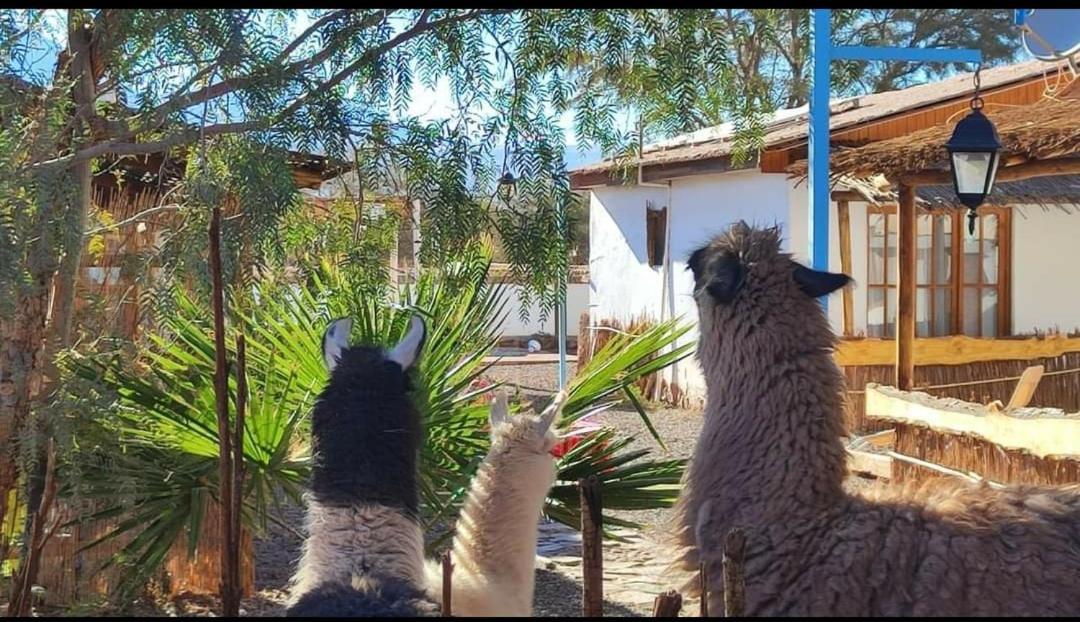 Cabanas Voyage Atacama San Pedro de Atacama Luaran gambar