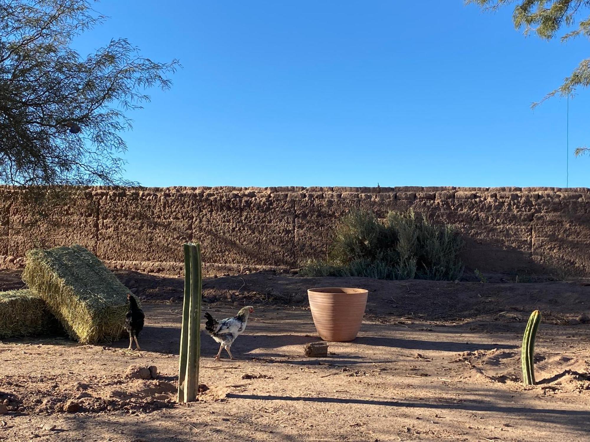 Cabanas Voyage Atacama San Pedro de Atacama Luaran gambar