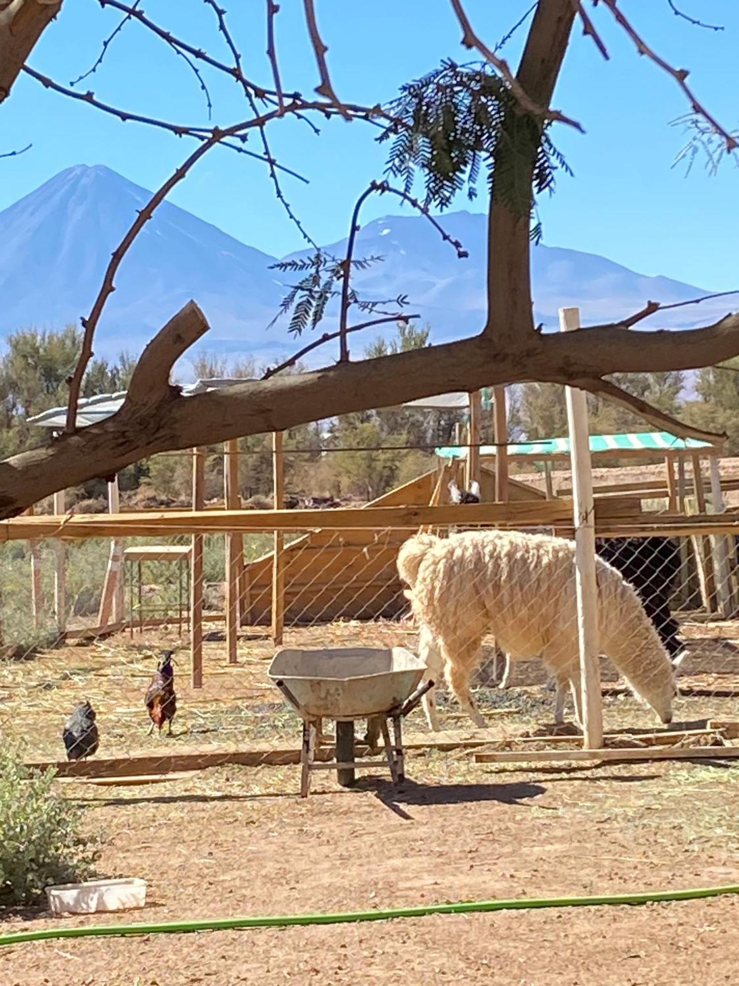 Cabanas Voyage Atacama San Pedro de Atacama Luaran gambar